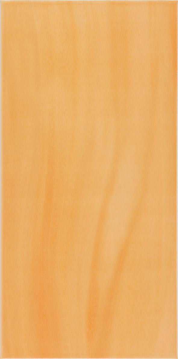 Zalakerámia Elegance ZBK-53942 falicsempe 25x50,3 cm