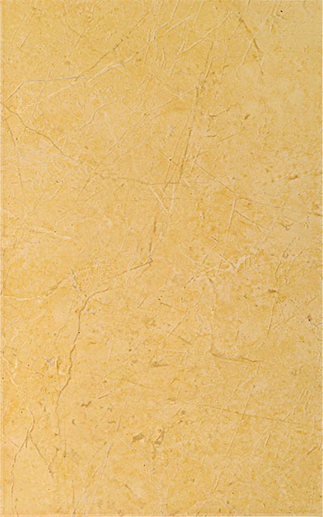 Zalakerámia Zaragoza ZBK 647 falicsempe 25x40 cm