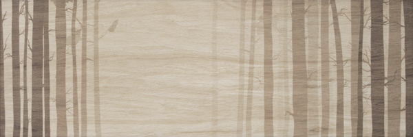 Zalakerámia Amazonas F-62004 szett dekorcsempe